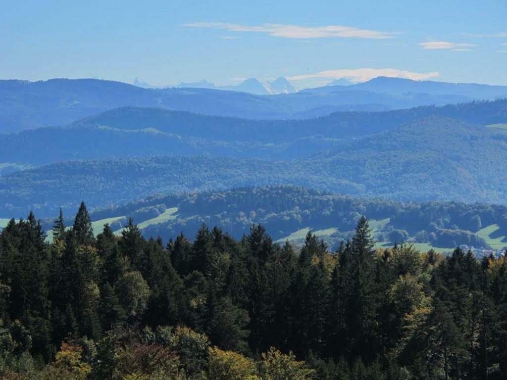 B&B Ma Maison Hautes Vosges Ranspach Eksteriør bilde